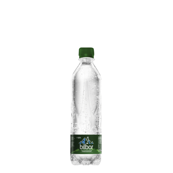 0,5 L Вода газированная Bilbor